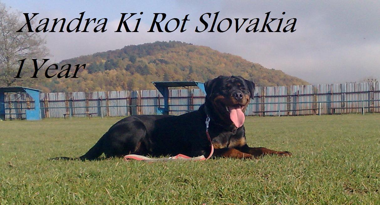 Xandra Ki-rot Slovakia 12 months