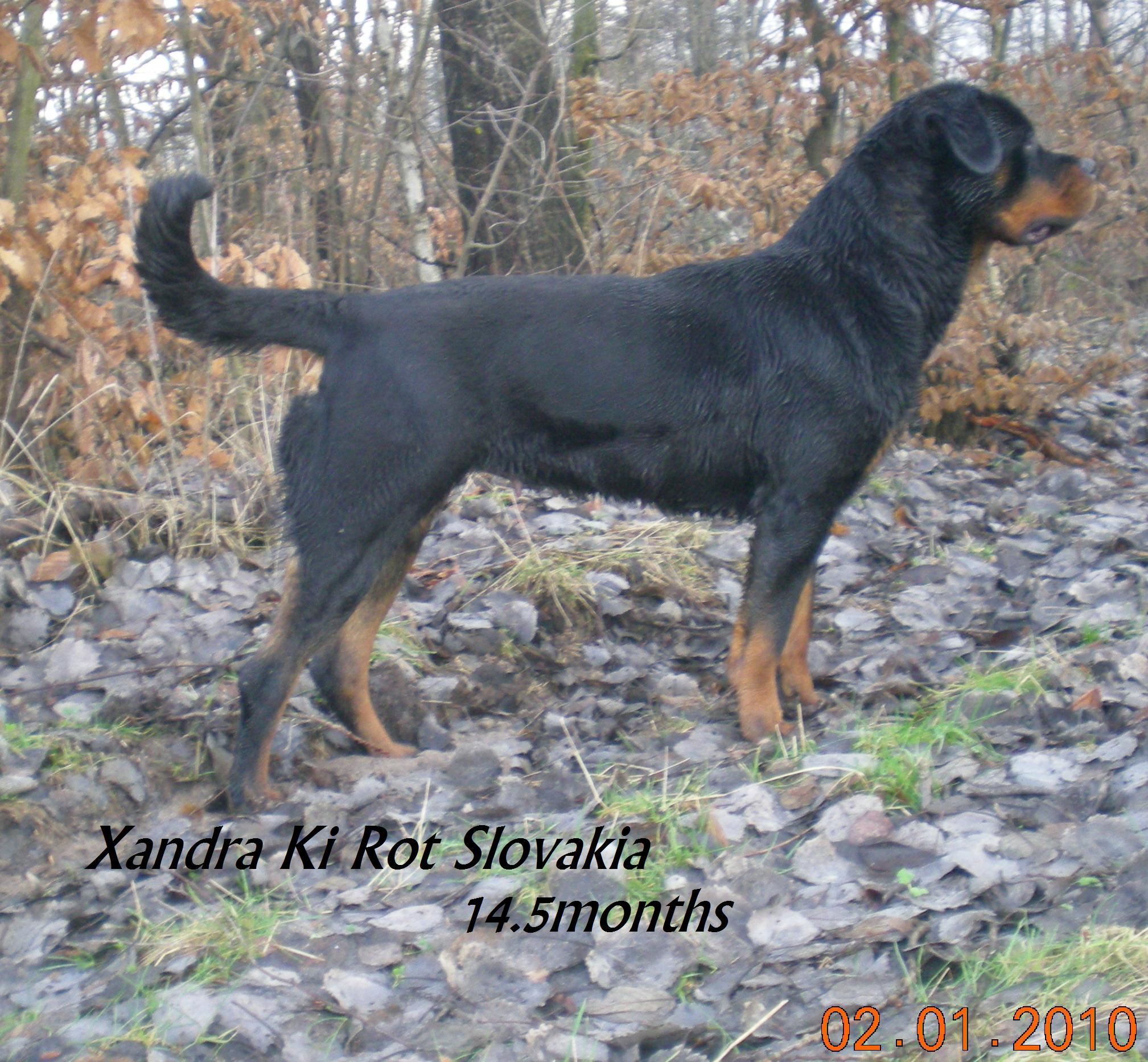 DSCN7224.JPG