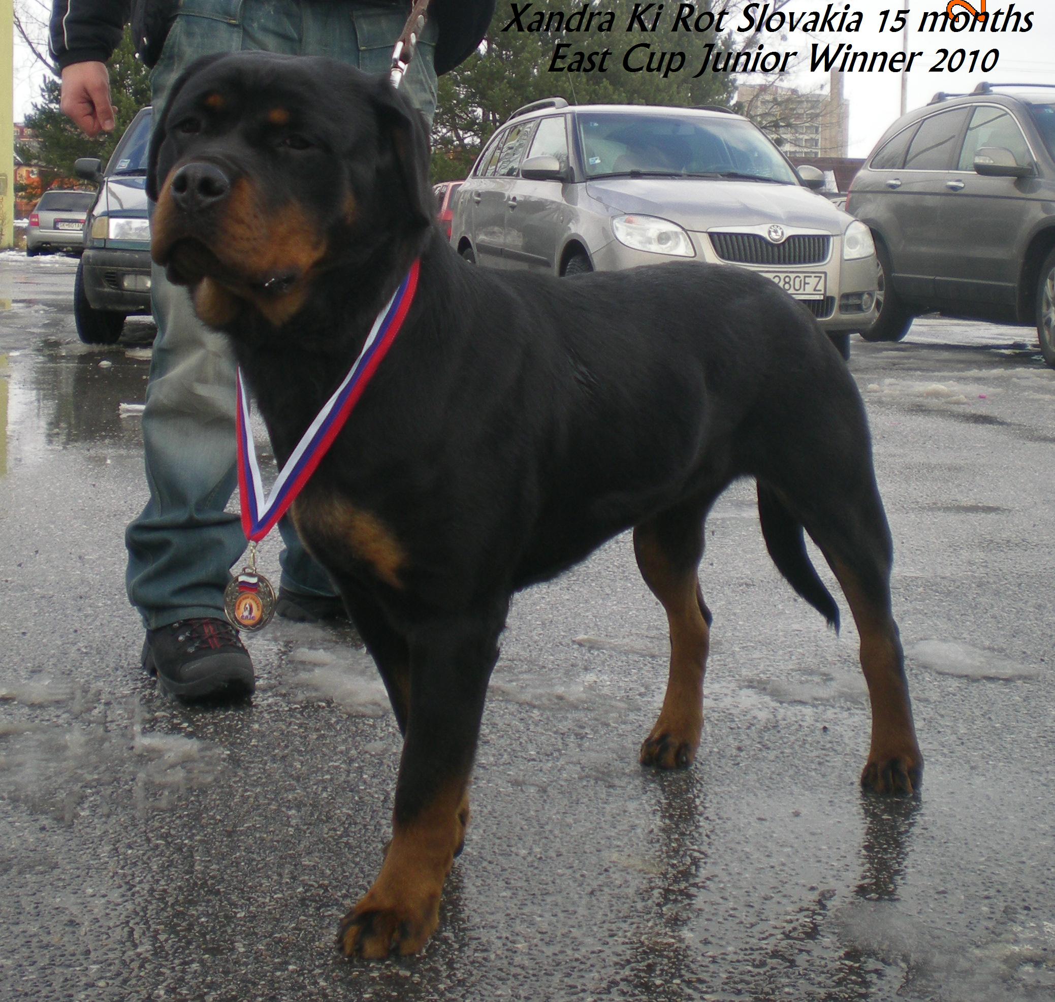 DSCN7369.JPG