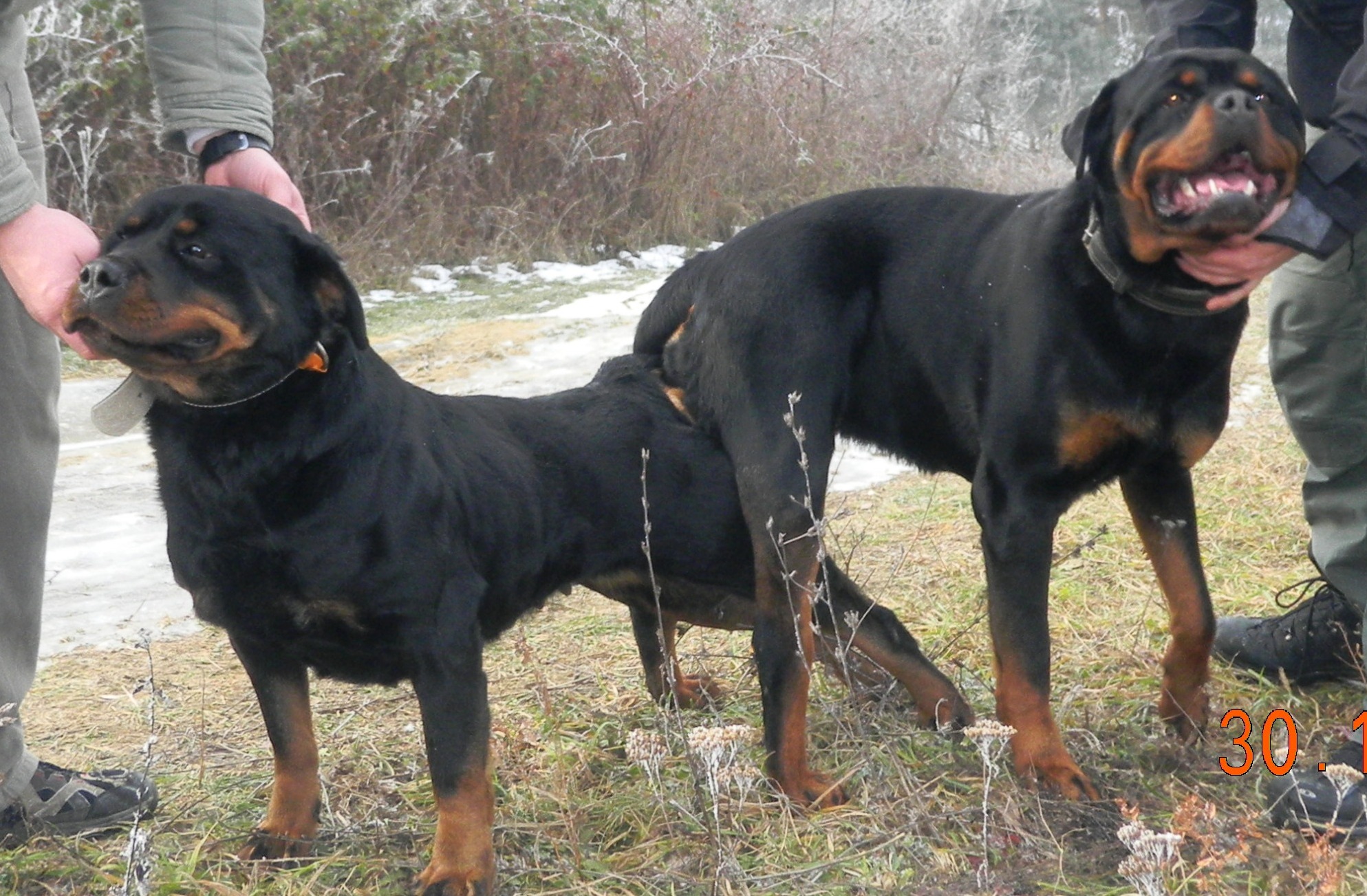 Xandra a Riki