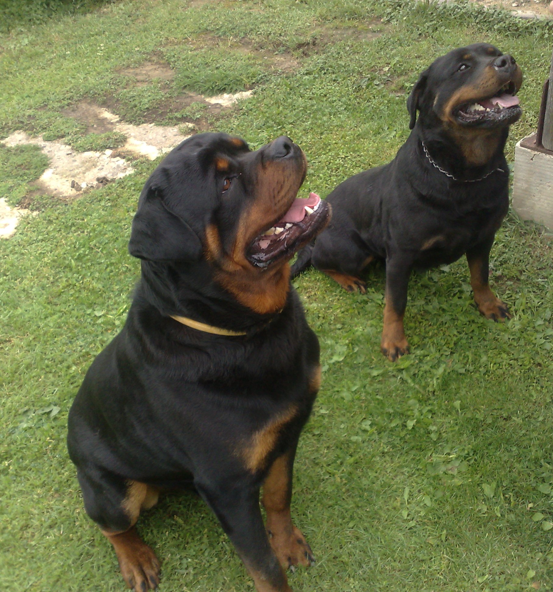 Xandra a Riky