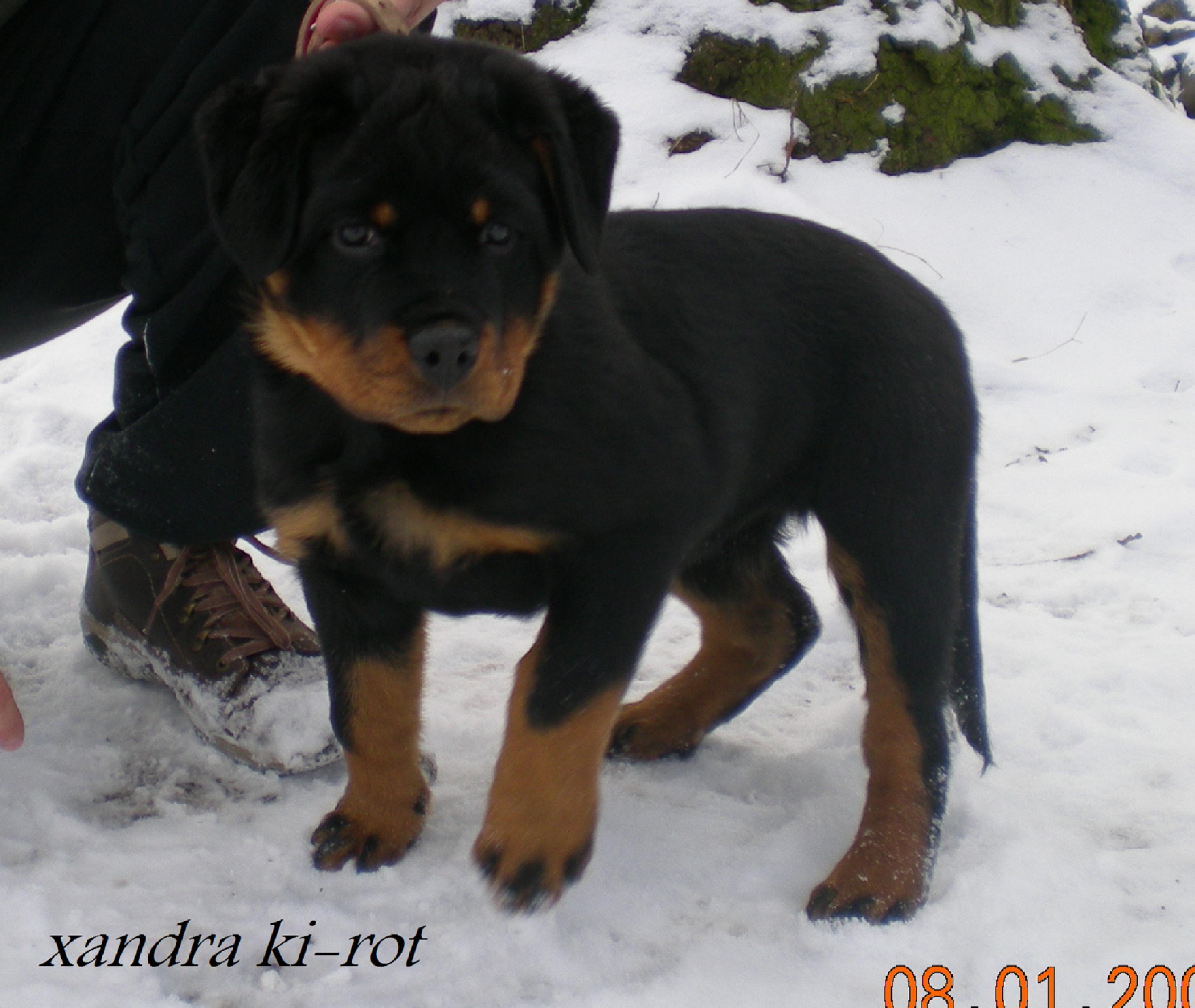 2 Xandra Ki-rot 2,5mesiaca_1