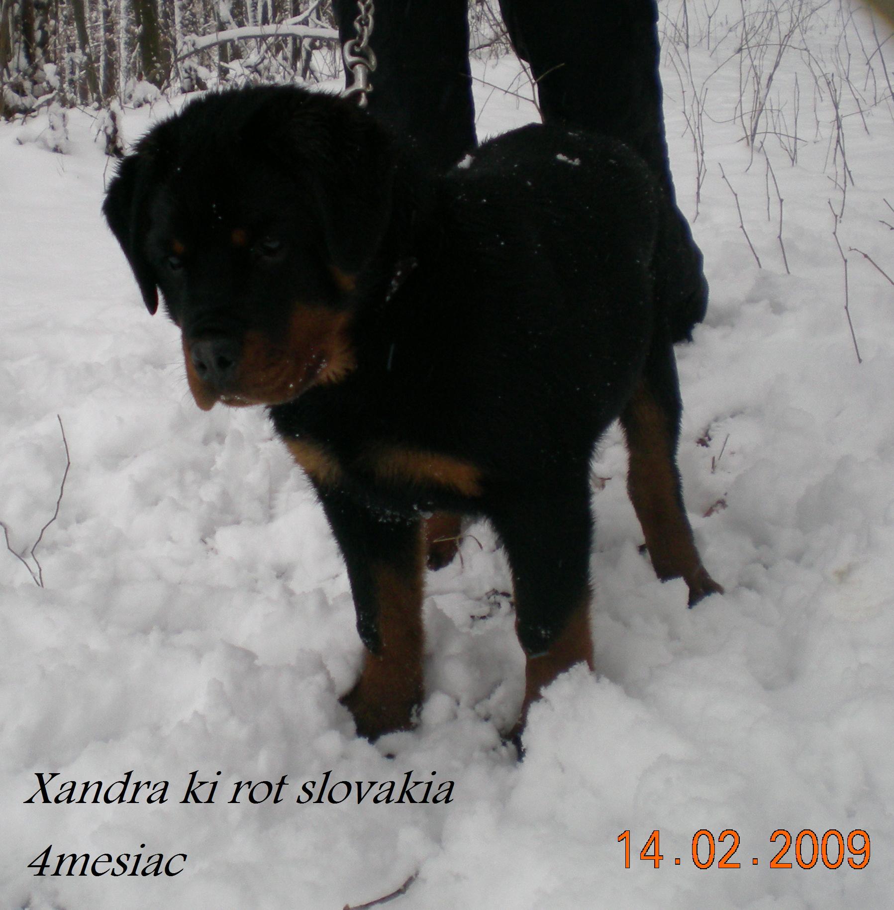4 Xandra Ki-rot 4mesiace_1
