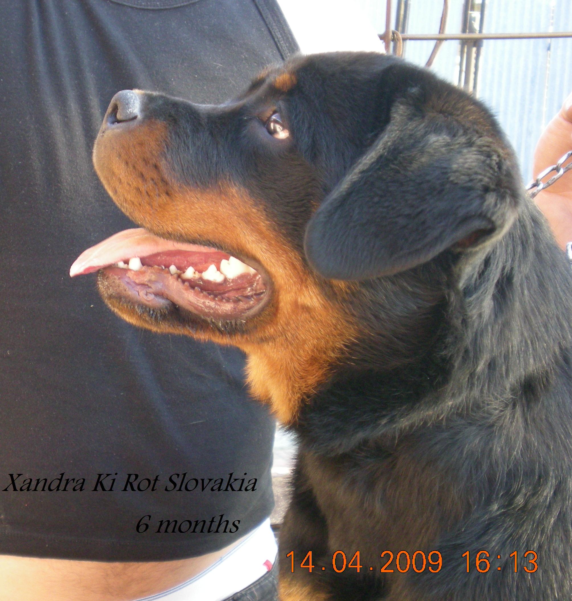 6 Xandra Ki-rot 6mesiacov_2