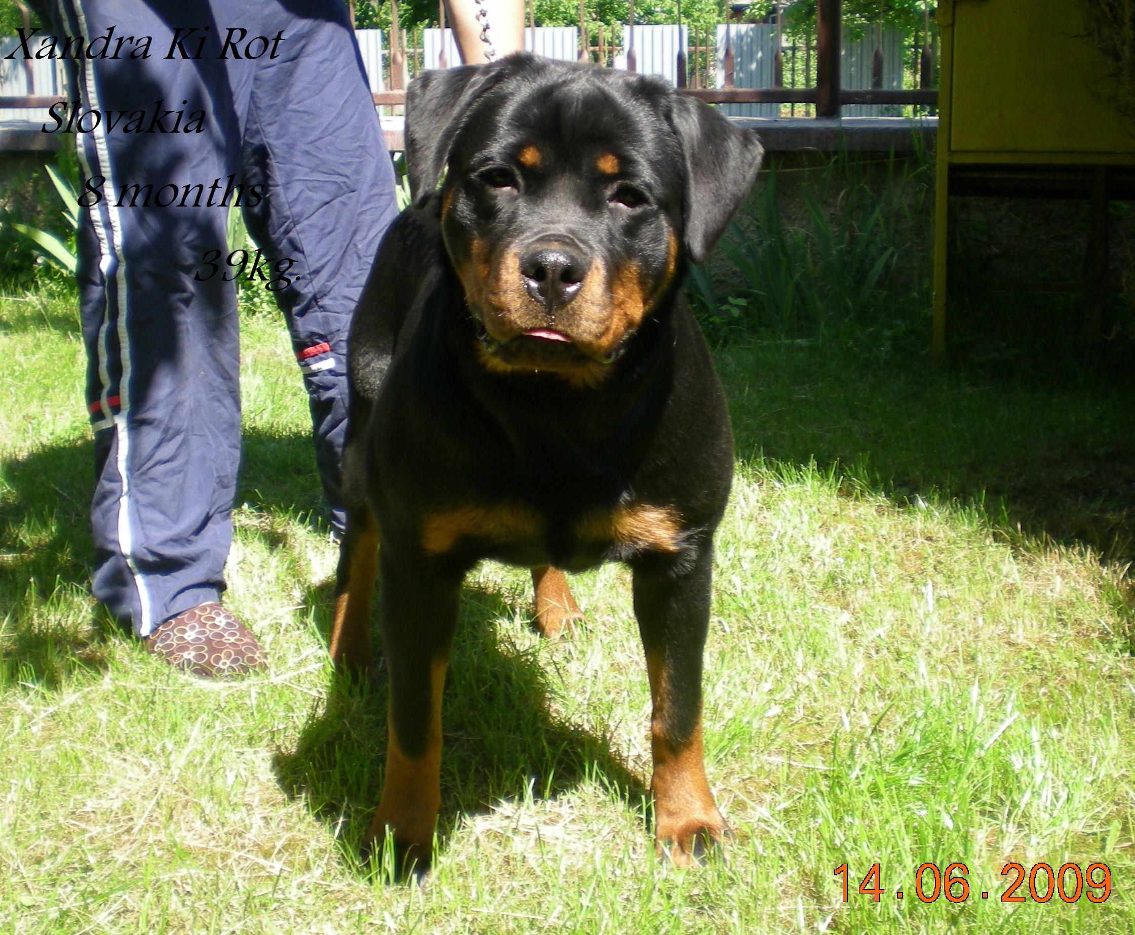 DSCN6588.JPG