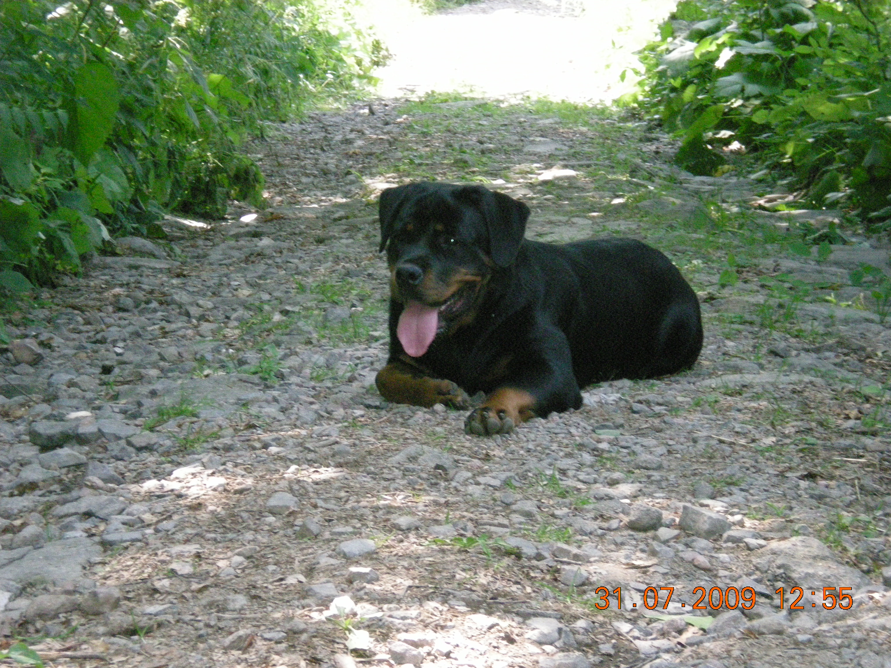 DSCN6783.JPG