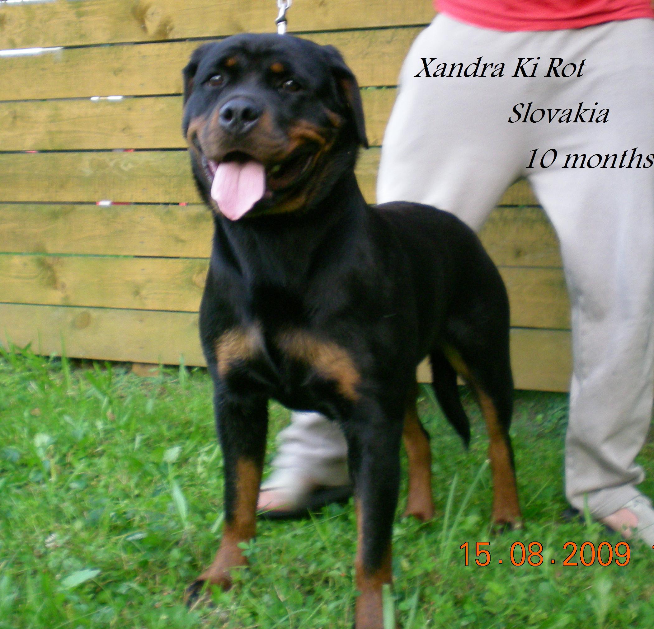_10 Xandra Ki-rot 10mesiacov_2