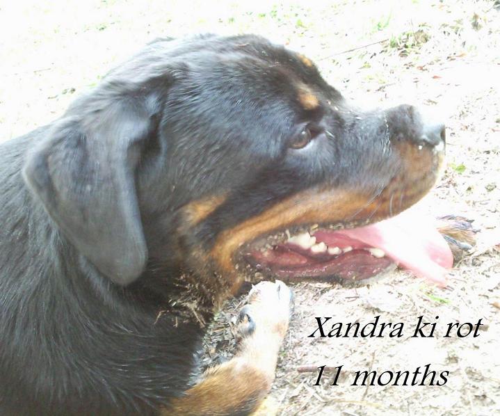 Xandra a g .jpg
