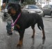 DSCN7369.JPG